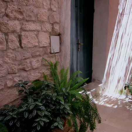 公寓 多布拉公寓