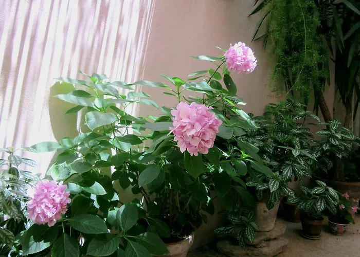 多布拉公寓 特罗吉尔